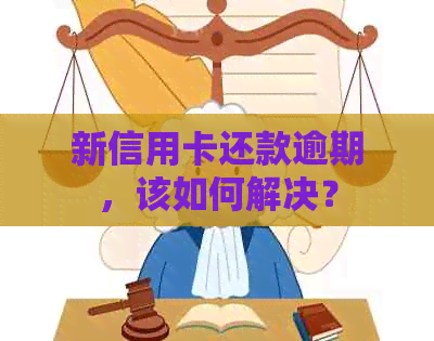 新信用卡还款逾期，该如何解决？