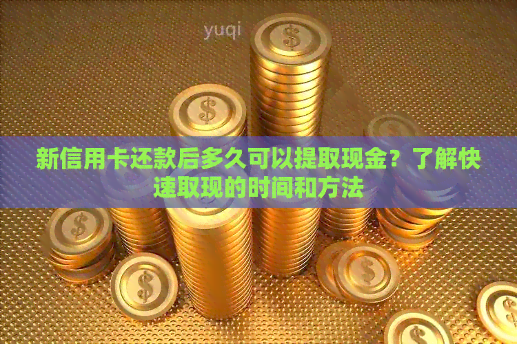 新信用卡还款后多久可以提取现金？了解快速取现的时间和方法