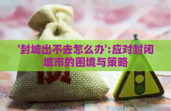 '封城出不去怎么办':应对封闭城市的困境与策略
