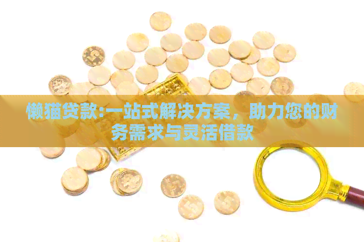 懒猫贷款:一站式解决方案，助力您的财务需求与灵活借款