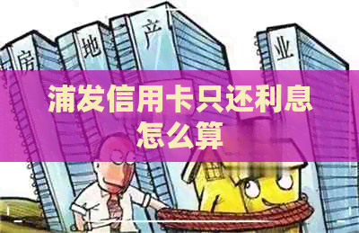 浦发信用卡只还利息怎么算