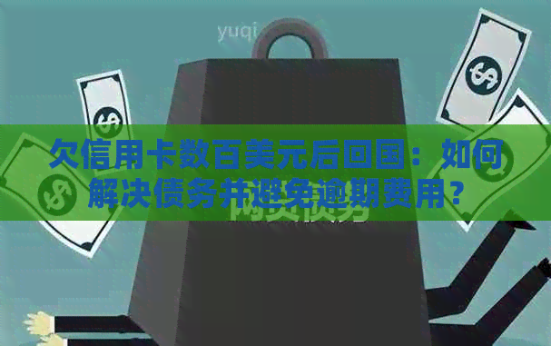 欠信用卡数百美元后回国：如何解决债务并避免逾期费用？