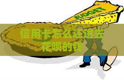 信用卡怎么还进去信用卡的钱