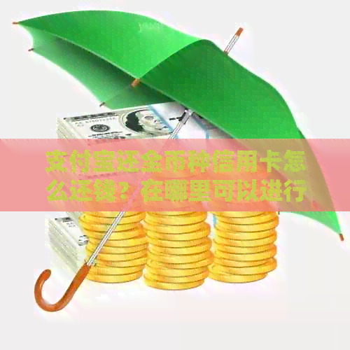 支付宝还全币种信用卡怎么还钱?在哪里可以进行全额还款,手续费是多少?