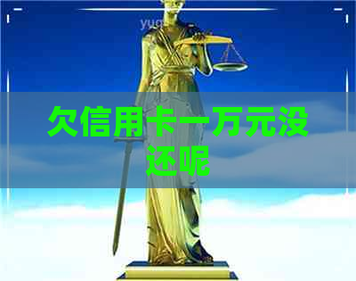 欠信用卡一万元没还呢