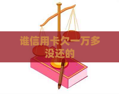 谁信用卡欠一万多没还的