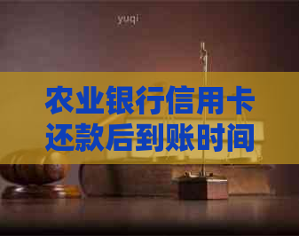 农业银行信用卡还款后到账时间及使用限制全面解析：何时能正常使用？