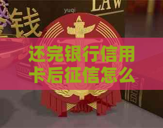 还完银行信用卡后怎么显示未更新：原因与解决方法