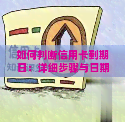 如何判断信用卡到期日：详细步骤与日期计算方法，避免逾期还款困扰