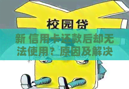 新 信用卡还款后却无法使用？原因及解决办法一网打尽！