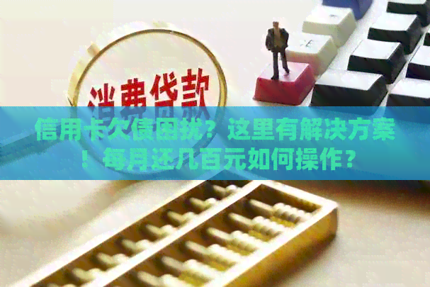 信用卡欠债困扰？这里有解决方案！每月还几百元如何操作？