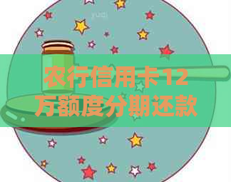 农行信用卡12万额度分期还款计划:5年还款方案及利息计算详解 农行信用卡12万额度分期还款计划:5年还款方案及利息计算详解