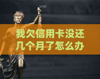 我欠信用卡没还几个月了怎么办？如何处理长时间未还款的信用卡债务？