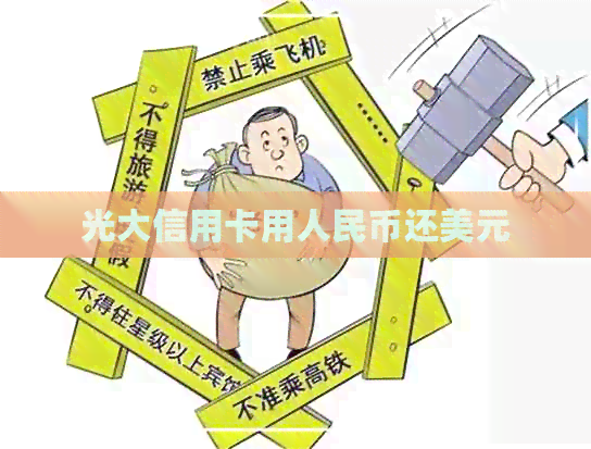 光大信用卡用人民币还美元