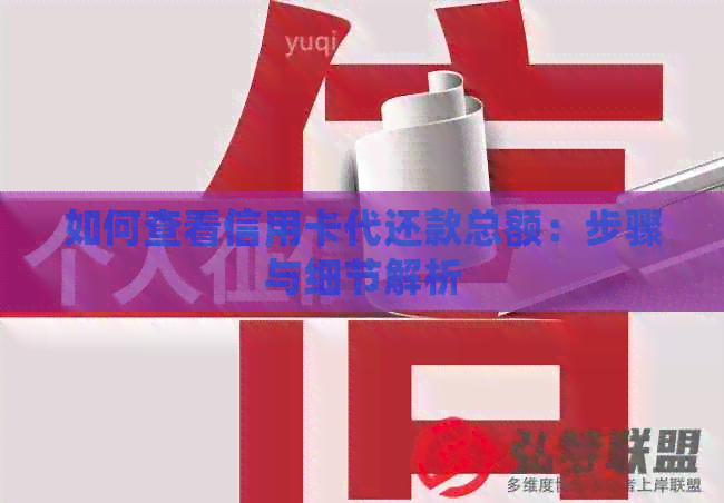 如何查看信用卡代还款总额：步骤与细节解析