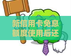 新信用卡免息额度使用后还款政策详解，了解清楚再行动！