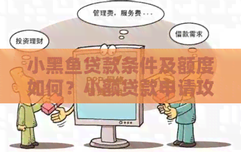 小黑鱼贷款条件及额度如何？小额贷款申请攻略！
