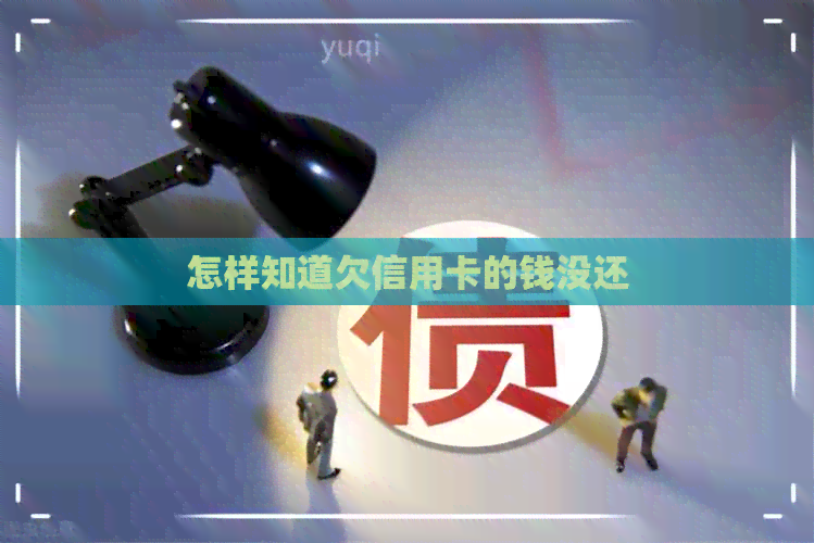怎样知道欠信用卡的钱没还
