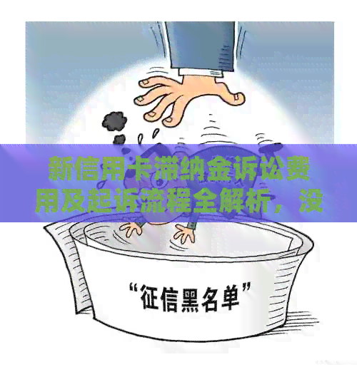 新信用卡滞纳金诉讼费用及起诉流程全解析，没还信用卡的滞纳金可以起诉吗？