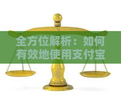 全方位解析：如何有效地使用支付宝网贷还款信用卡以实现更大优