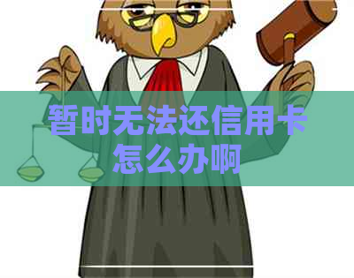 暂时无法还信用卡怎么办啊 暂时无法还信用卡怎么办啊