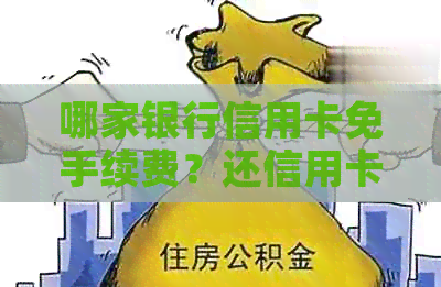 哪家银行信用卡免手续费？还信用卡必备软件推荐及使用方法