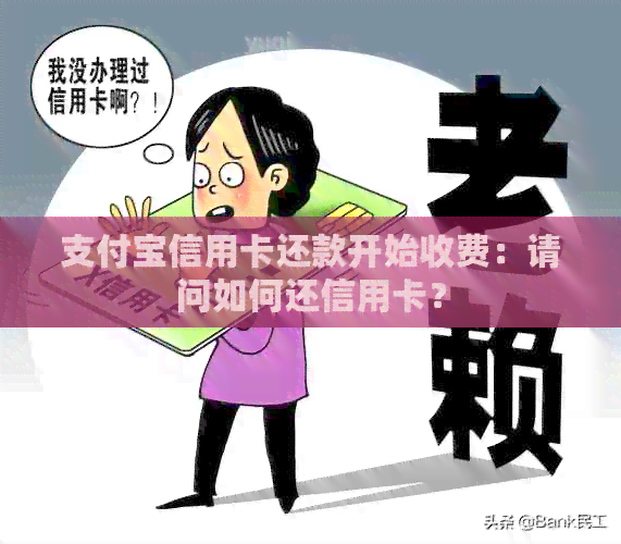 支付宝信用卡还款开始收费：请问如何还信用卡？
