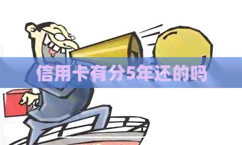 信用卡有分5年还的吗