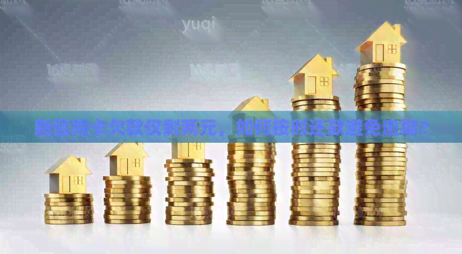 新信用卡欠款仅剩两元，如何按时还款避免逾期？