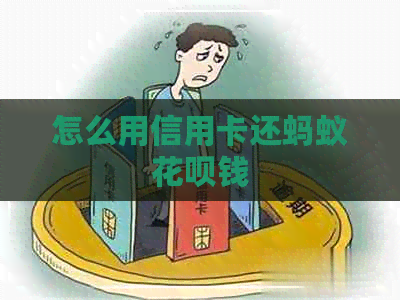 怎么用信用卡还蚂蚁信用卡钱