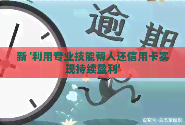 新 '利用专业技能帮人还信用卡实现持续盈利'