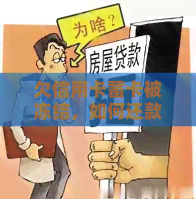 欠信用卡蓄卡被冻结，如何还款？