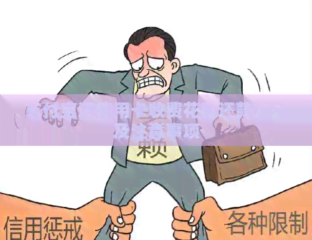 支付宝还信用卡收费信用卡还款方式及注意事项