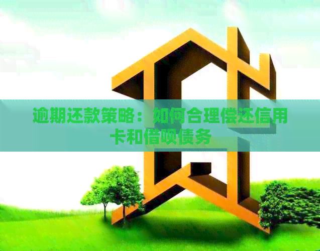 逾期还款策略：如何合理偿还信用卡和网贷债务