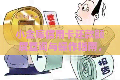 小金库信用卡还款额度查询与操作指南，如何进行信用卡还款？