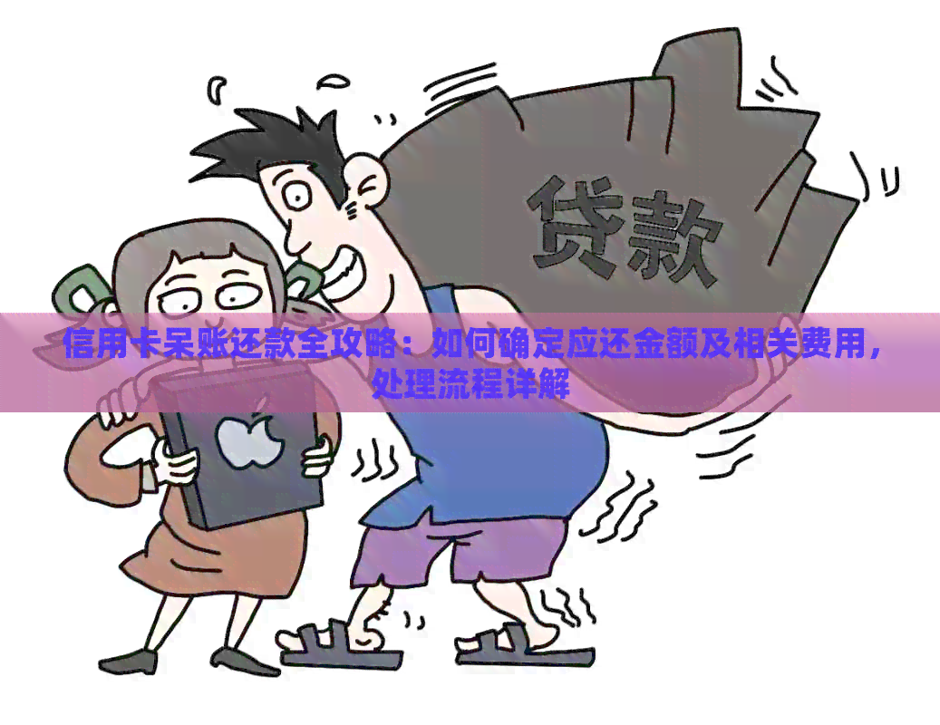 信用卡呆账还款全攻略：如何确定应还金额及相关费用，处理流程详解