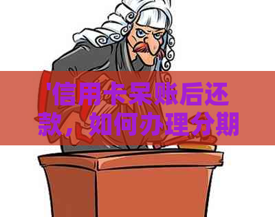 '信用卡呆账后还款，如何办理分期、房贷和借记卡？'