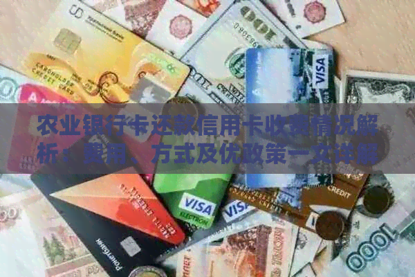 农业银行卡还款信用卡收费情况解析：费用、方式及优政策一文详解