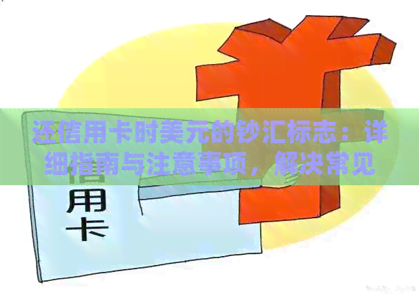 还信用卡时美元的钞汇标志：详细指南与注意事项，解决常见问题