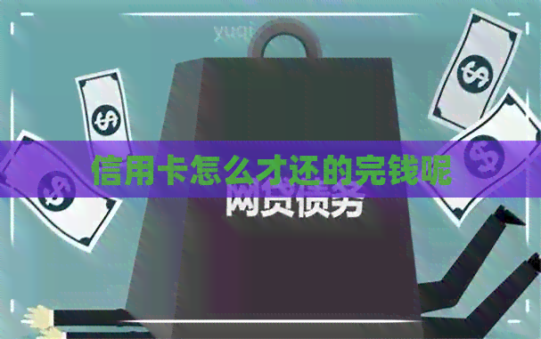 信用卡怎么才还的完钱呢