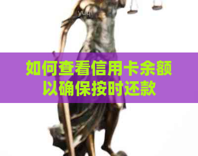 如何查看信用卡余额以确保按时还款
