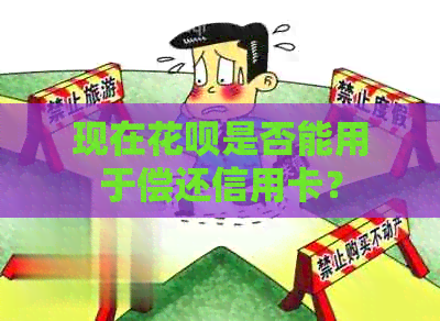 现在信用卡是否能用于偿还信用卡？
