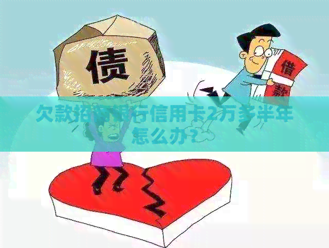 欠款招商银行信用卡2万多半年怎么办？