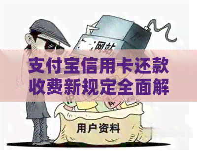 支付宝信用卡还款收费新规定全面解析：费用、影响与应对策略