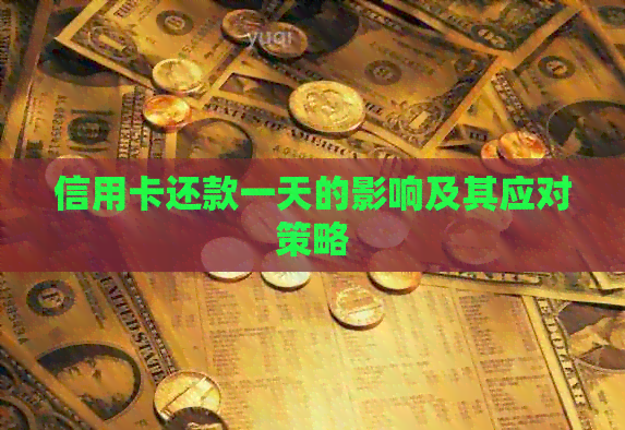 信用卡还款一天的影响及其应对策略