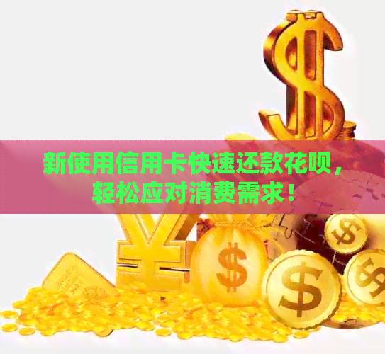新使用信用卡快速还款信用卡，轻松应对消费需求！