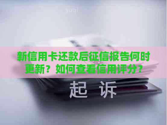 新信用卡还款后报告何时更新？如何查看信用评分？