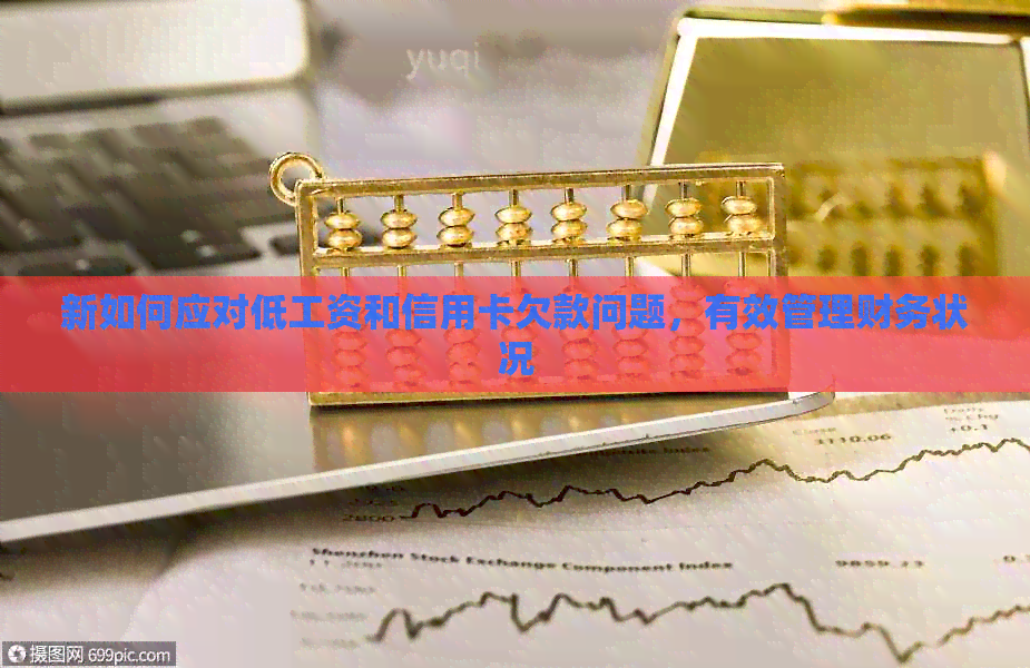 新如何应对低工资和信用卡欠款问题，有效管理财务状况