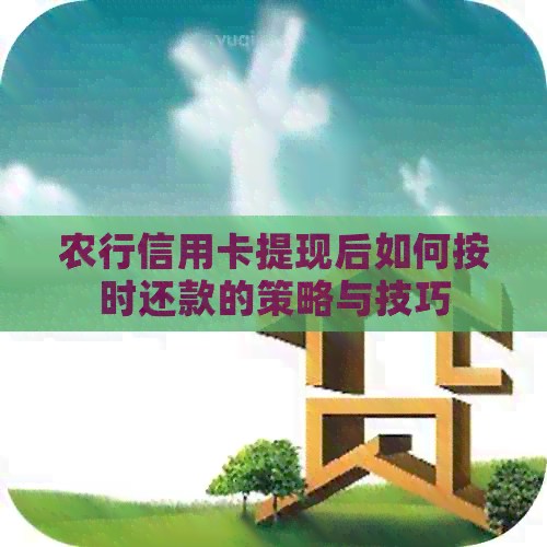 农行信用卡提现后如何按时还款的策略与技巧