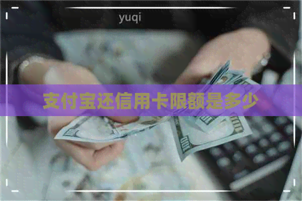 支付宝还信用卡限额是多少